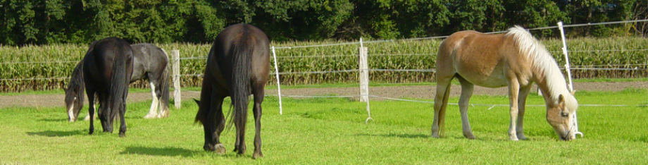 Pension Reitstall Wesel